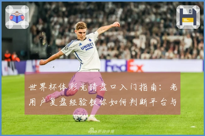 世界杯体彩竞猜盘口入门指南：老用户复盘经验教你如何判断平台与规避风险