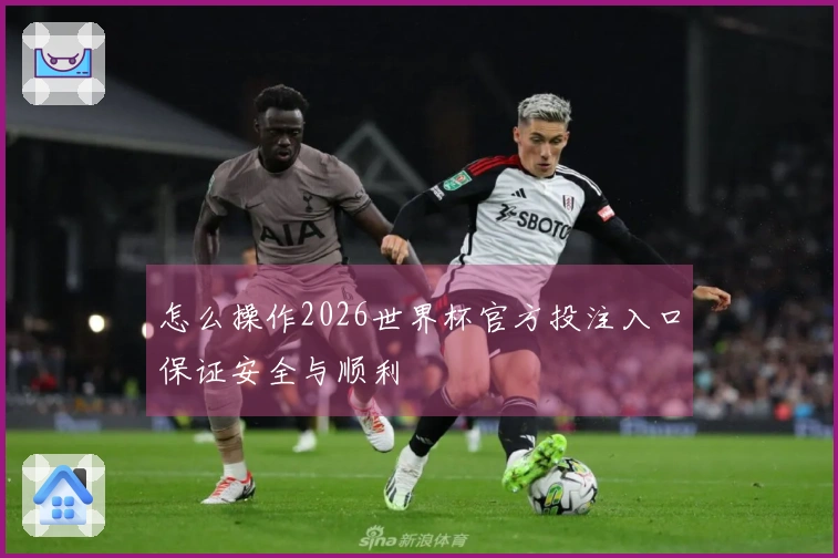 怎么操作2026世界杯官方投注入口保证安全与顺利