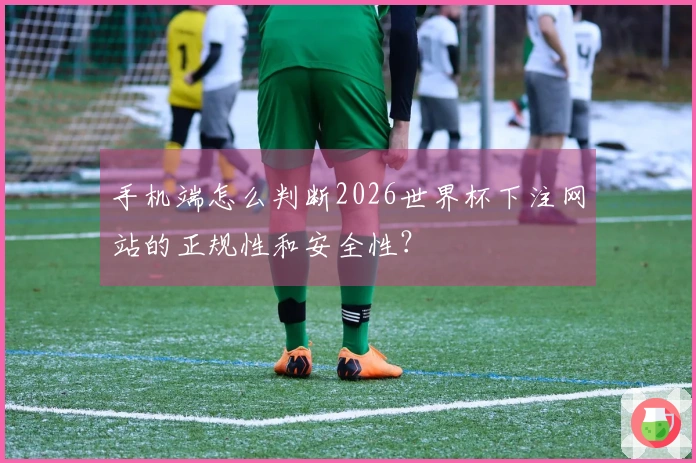 手机端怎么判断2026世界杯下注网站的正规性和安全性？
