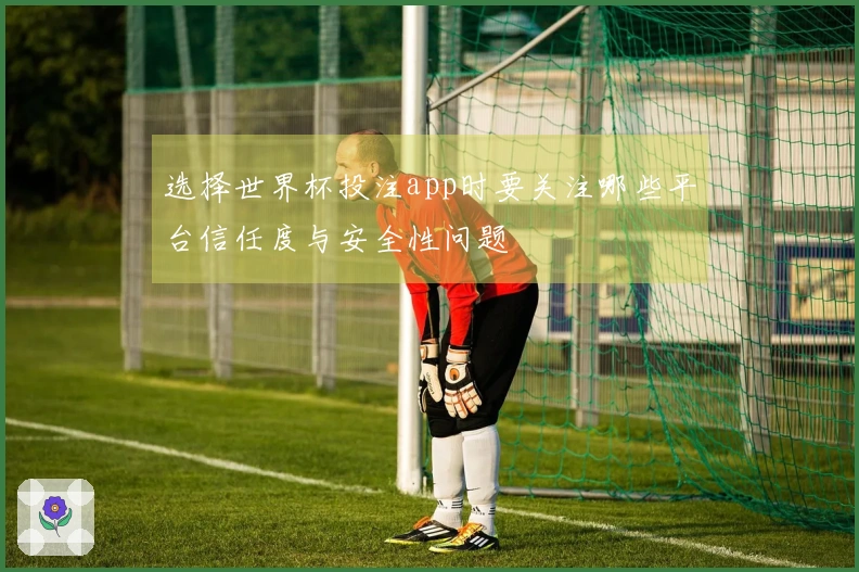 选择世界杯投注app时要关注哪些平台信任度与安全性问题