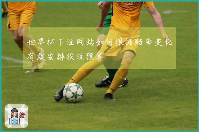 世界杯下注网站如何根据赔率变化有效安排投注预算