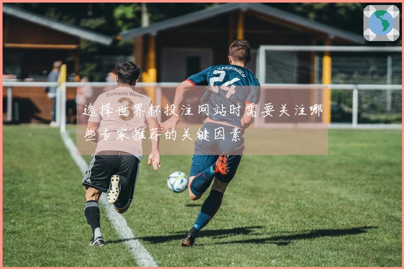 选择世界杯投注网站时需要关注哪些专家推荐的关键因素